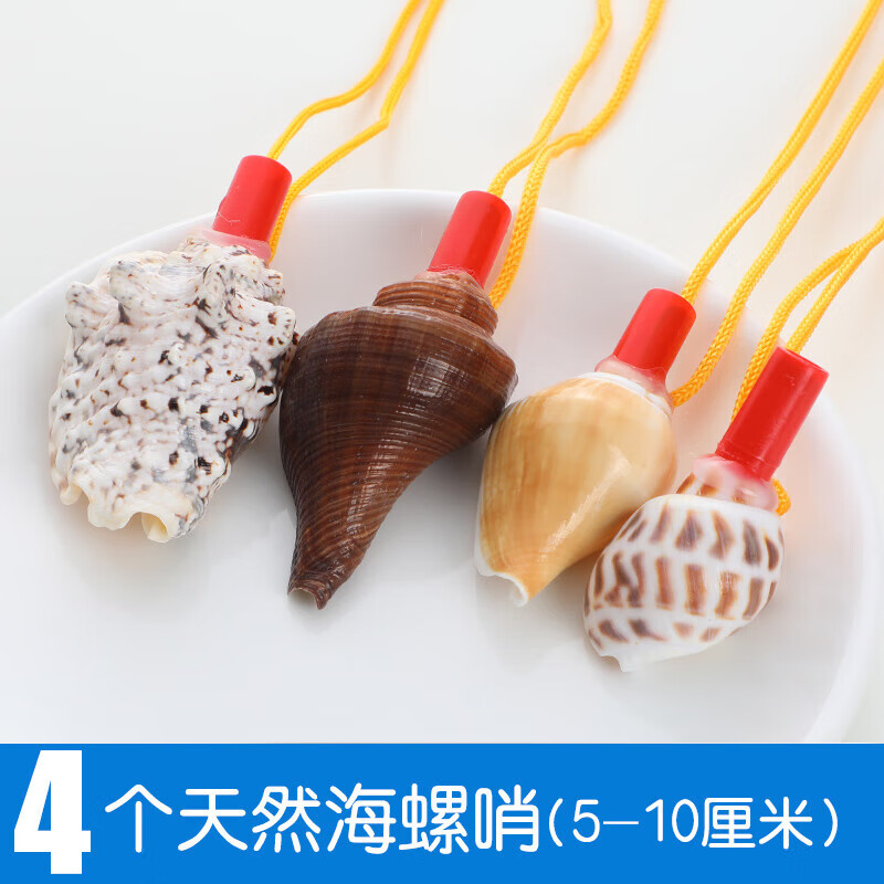 千惠侬天然海螺号角儿童贝壳玩具小螺号超大海螺壳工艺品可吹响喇叭口哨 套餐1