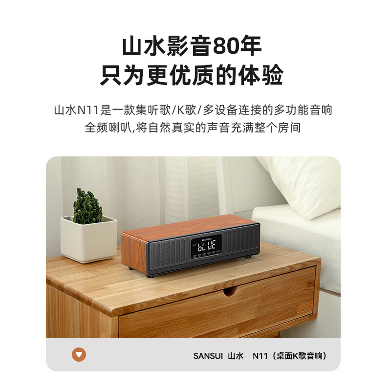山水(SANSUI)家庭KTV音响套装桌面家用k歌一体机卡拉ok唱歌机蓝牙音箱连接客厅电视立体环绕重低音炮 N11木+5.4蓝牙+全频喇叭+双U话筒