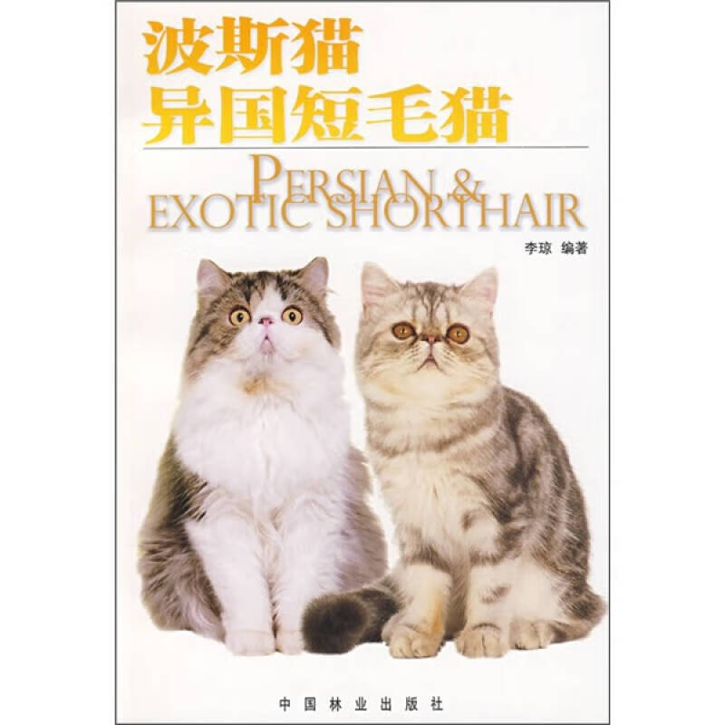 波斯猫异国短毛猫
