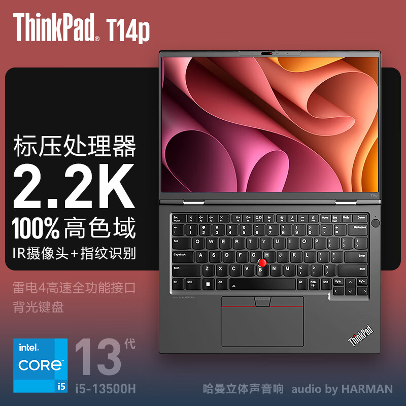 ThinkPad  联想T14p 酷睿标压 14英寸高性能轻薄本 商务办公编程工程师设计全能本笔记本电脑 i5-13500H 32G内存 1TB固态 2.2K高色域屏幕 人脸识别标配