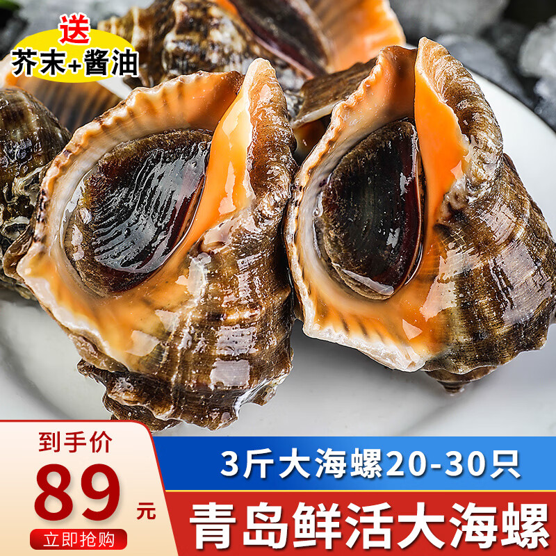 海宏盈【活鲜】 青岛大海螺鲜活 1500g 海鲜贝类生鲜 中规格共20-30只 1500g