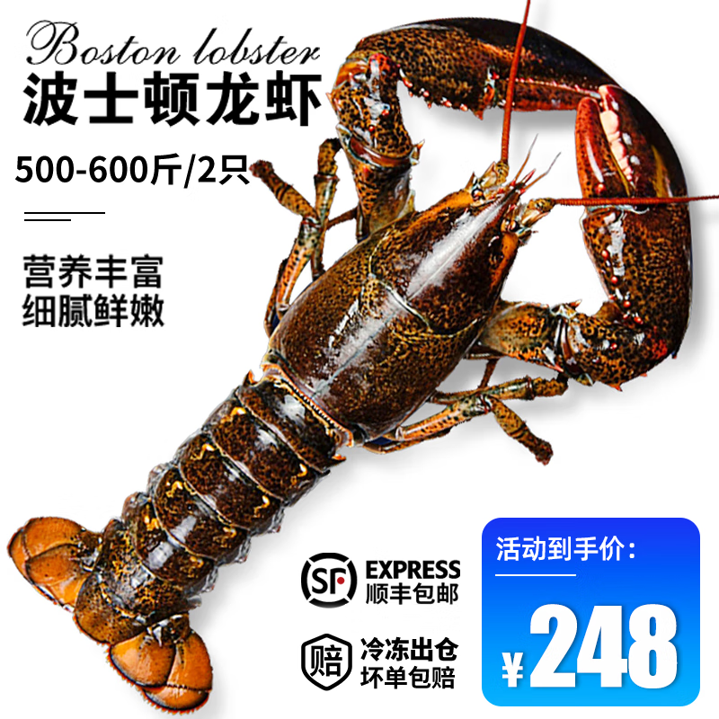 ���ڲ������ʳ� ��Ϻ�ʶ�������ʿ�ٴ���Ϻ1-8�ﳬ����������������� 500-600g/2ֻ