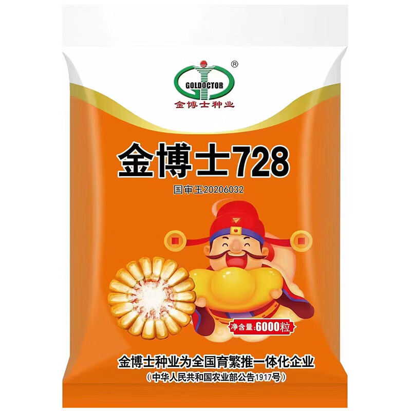 新种金博士728东华北丰产玉米种子棒大,轴细,稳产