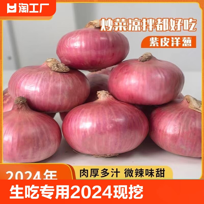 云南洋葱生吃专用2024新鲜现挖现发水果扁紫皮洋葱5斤装食用 3斤
