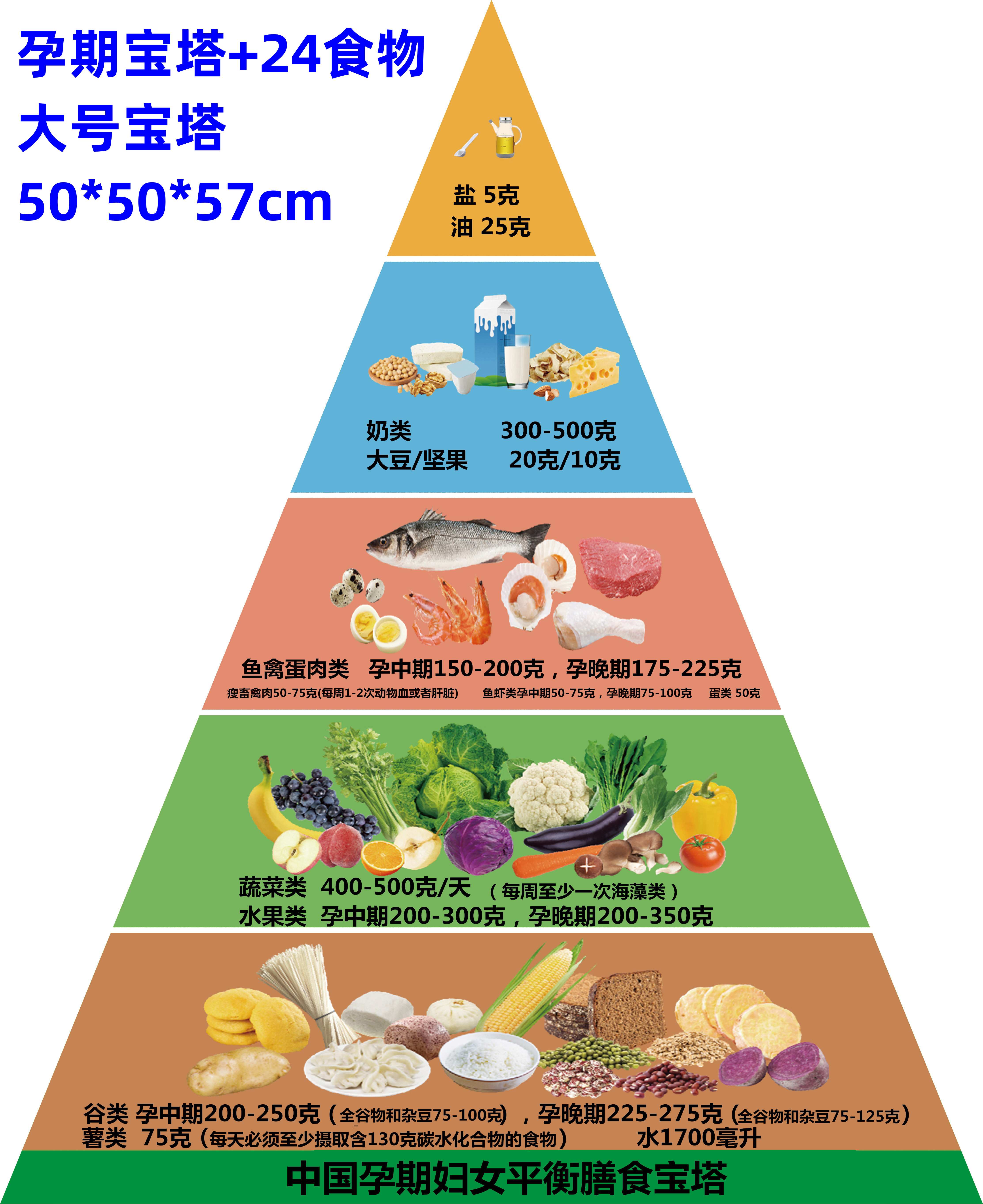 黛博拉仿真食品中国居民平衡膳食宝塔模型健康食物营养金字塔交换份