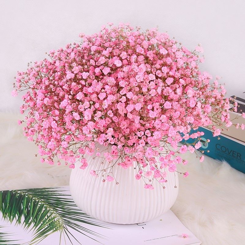 粉色满天星 帶a型花瓶花瓶埖