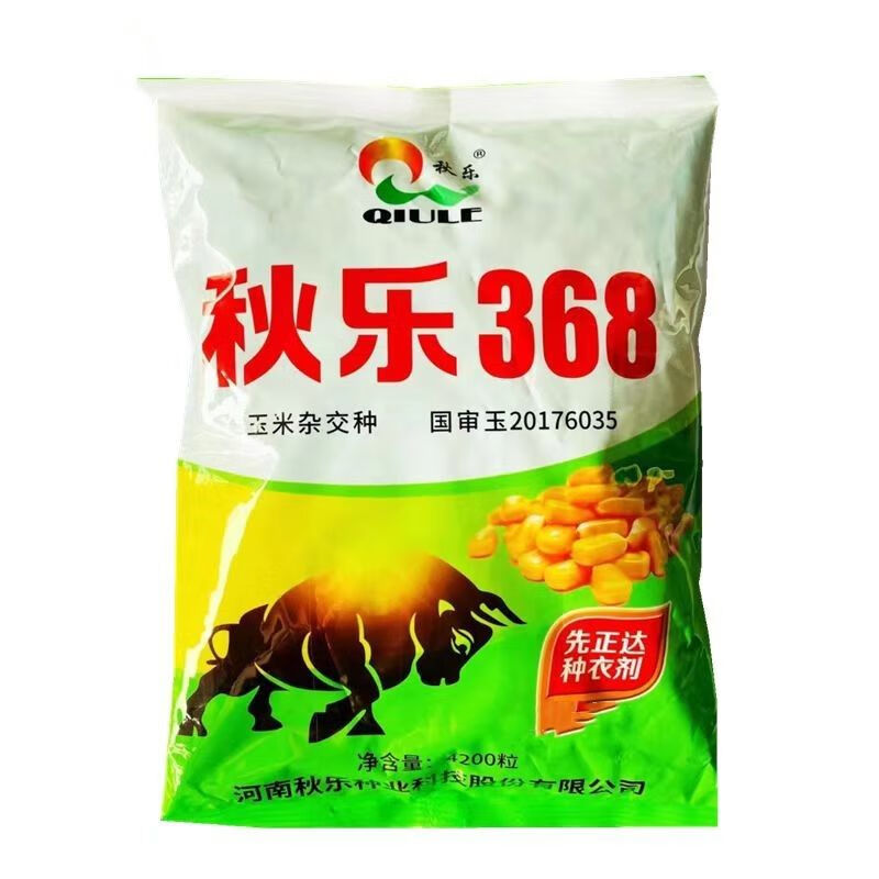 哒琳北北国审秋乐368玉米种子大田杂交玉米种籽矮杆抗倒伏4200粒/袋原