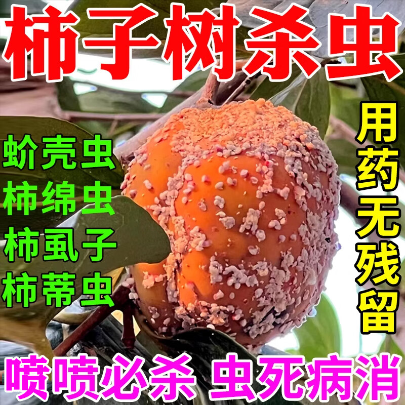 专用剂防治柿绵蚧虱子病胭脂虫埋在土里的杀虫药 1袋【柿子树杀虫专用