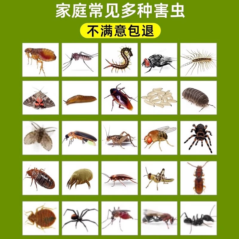 皎洁杀虫剂床上专用药氯氰菊酯喷雾胺菊酯喷剂驱虫神器家用室内非无毒 500mL 1瓶