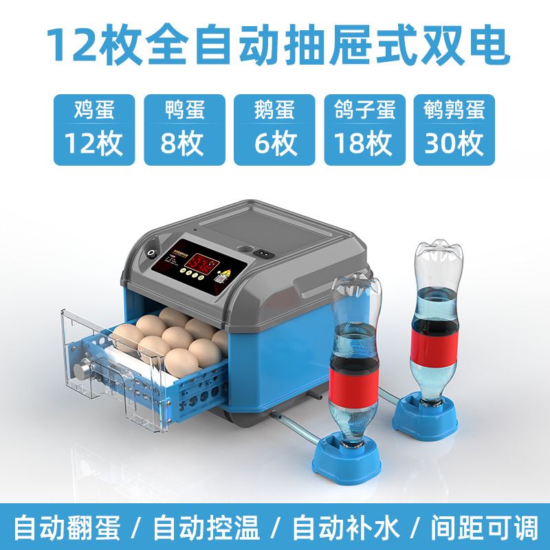 机小型家用全自动芦丁鸡小鸡孵化机器孵化器自动 12枚全自动【双电】