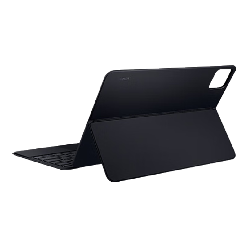 С�� ���ؼ��� ƽ��6S Pro 12.4 ��ɫ