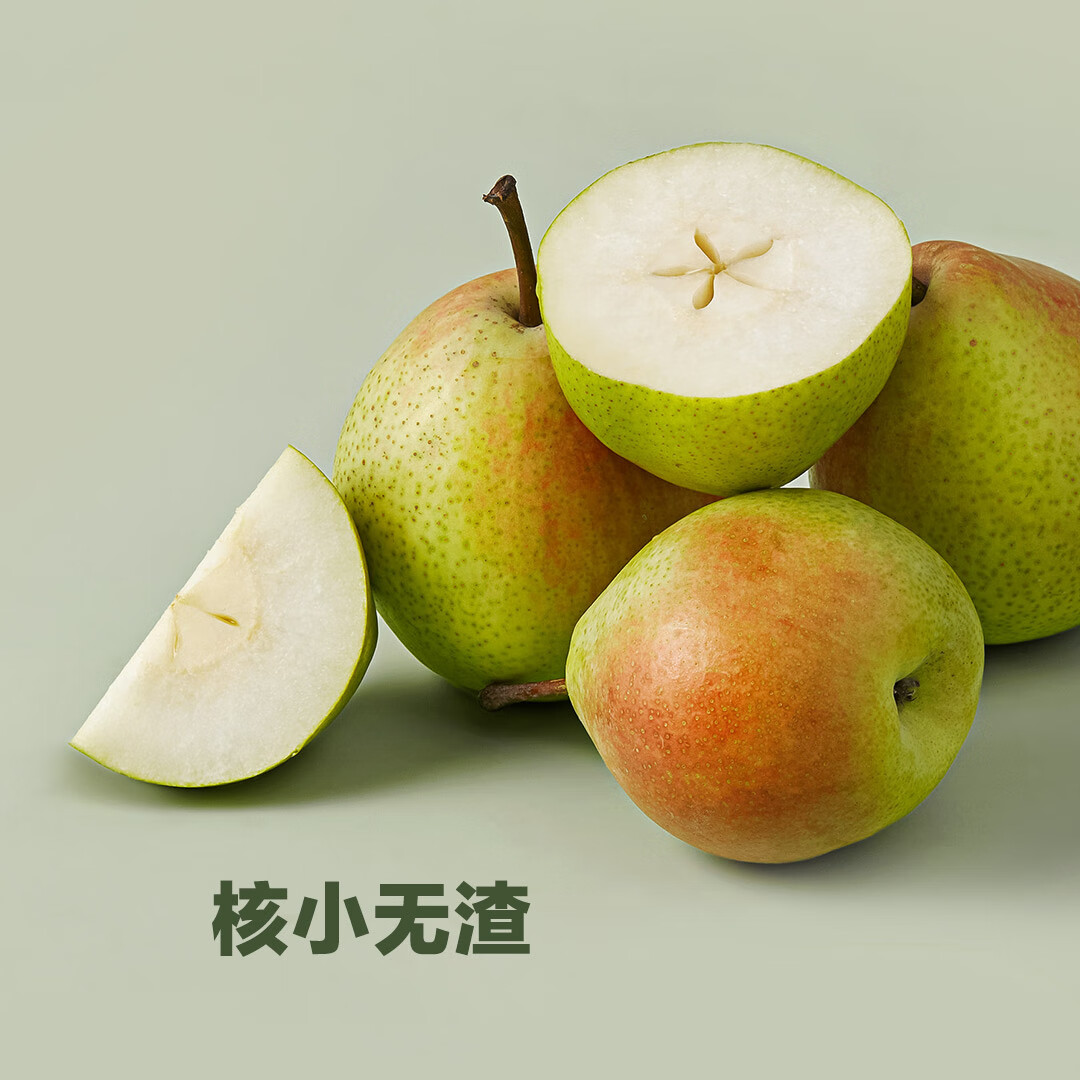天瓜 山西运城红香酥梨12颗4.5-5斤/箱 2024年新鲜采摘原产地直发-京东-618/双十一/双11-京东折扣隐藏大额优惠券