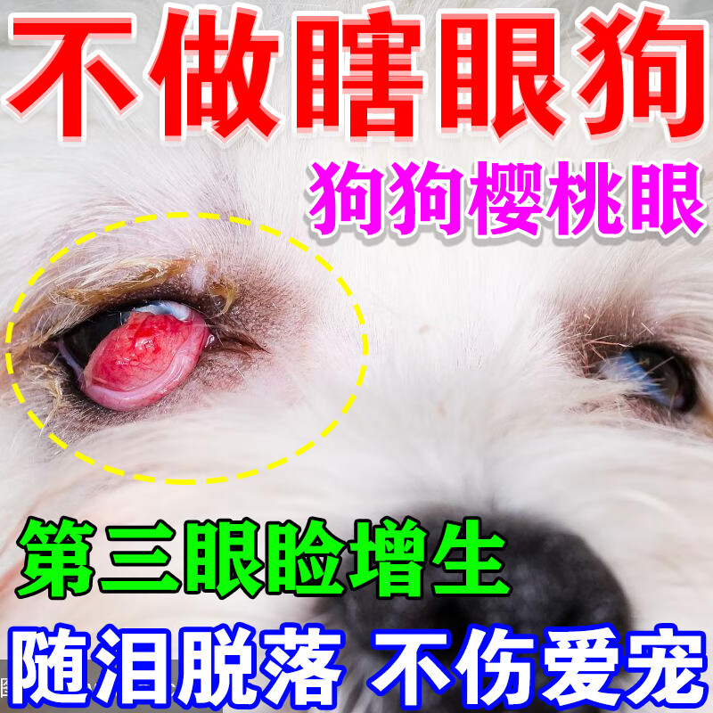狗狗樱桃眼滴眼液第三眼睑增生腺体脱出眼睛发红猫狗眼药水眼息肉