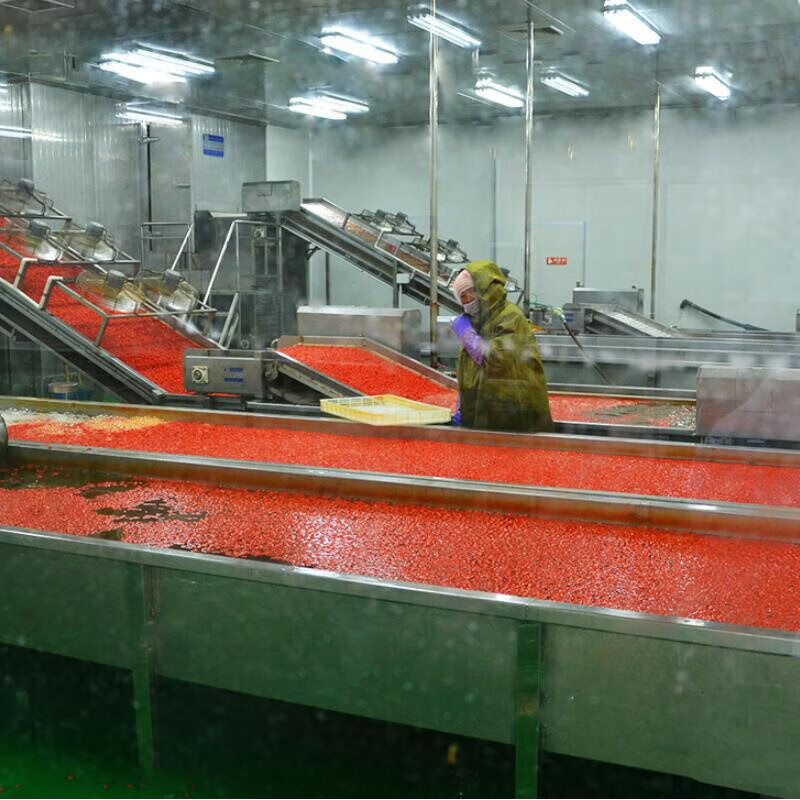 产地源头宁夏中宁枸杞子散装批发无硫红枸杞500克装大枸杞 220粒一级一斤装