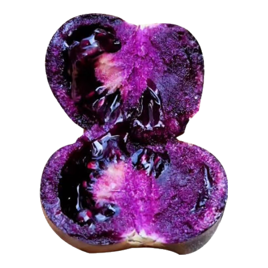 ������ٹⴿ����ɫ��õ�巬�������ڷ�������ʥŮ���������ļ�������̨ ����õ�巬����6�� 1���� 11.9Ԫ