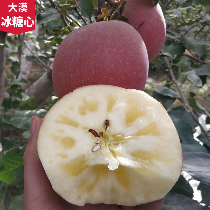 遇见悯农新疆苹果大漠冰糖心脆甜苹果源头直采健康轻食新鲜水果苹果礼盒 新疆冰糖心苹果（净重4.5斤） 严选150g起