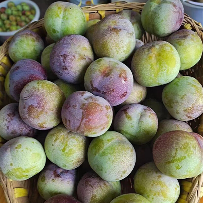 四川脱骨李子半边红青红脆李蜂糖李现摘新鲜孕妇应季水果整箱5斤 3斤