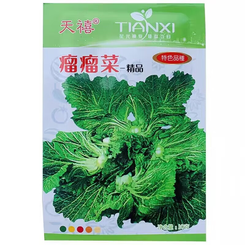 瘤瘤菜种子芥瘤菜种子秋季特殊蔬菜种鲜食腌制两用弥陀芥菜种籽 瘤瘤