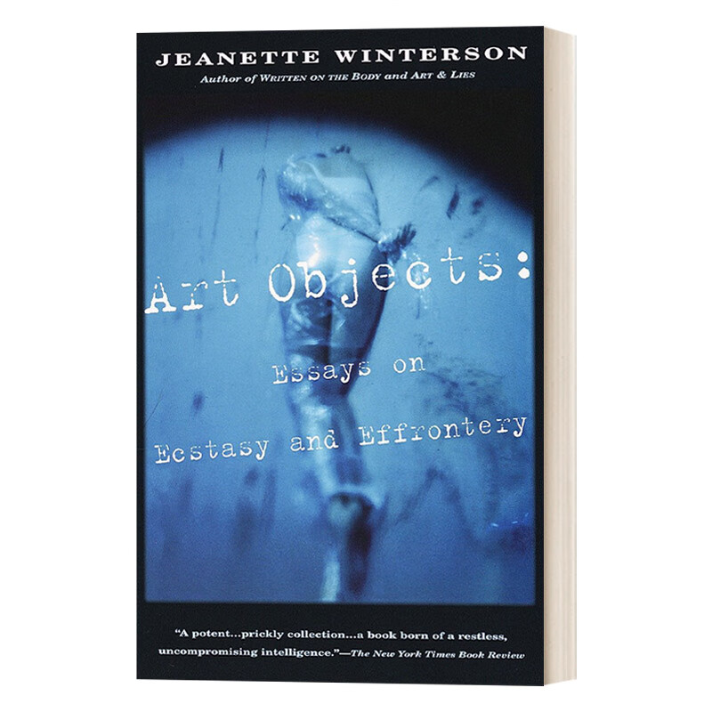 进口原版 art objects: essays on ecstasy and effrontery (vintage