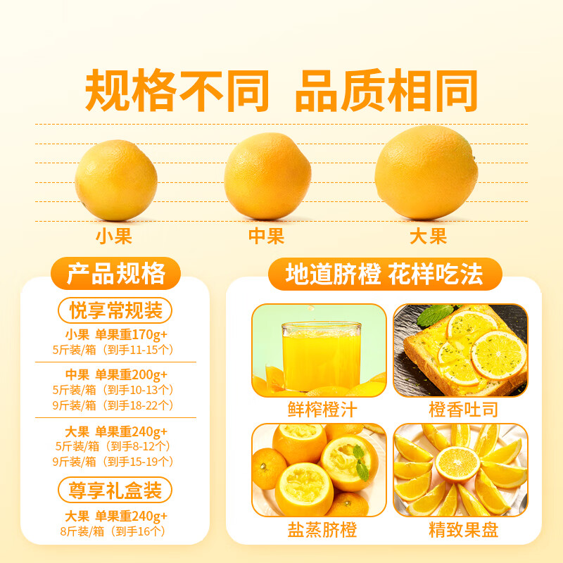 东方甄选脐橙产自赣南橙子香甜多汁新鲜应季水果坏果包赔过年年货 【5斤大果】单果240g+约 8-12个