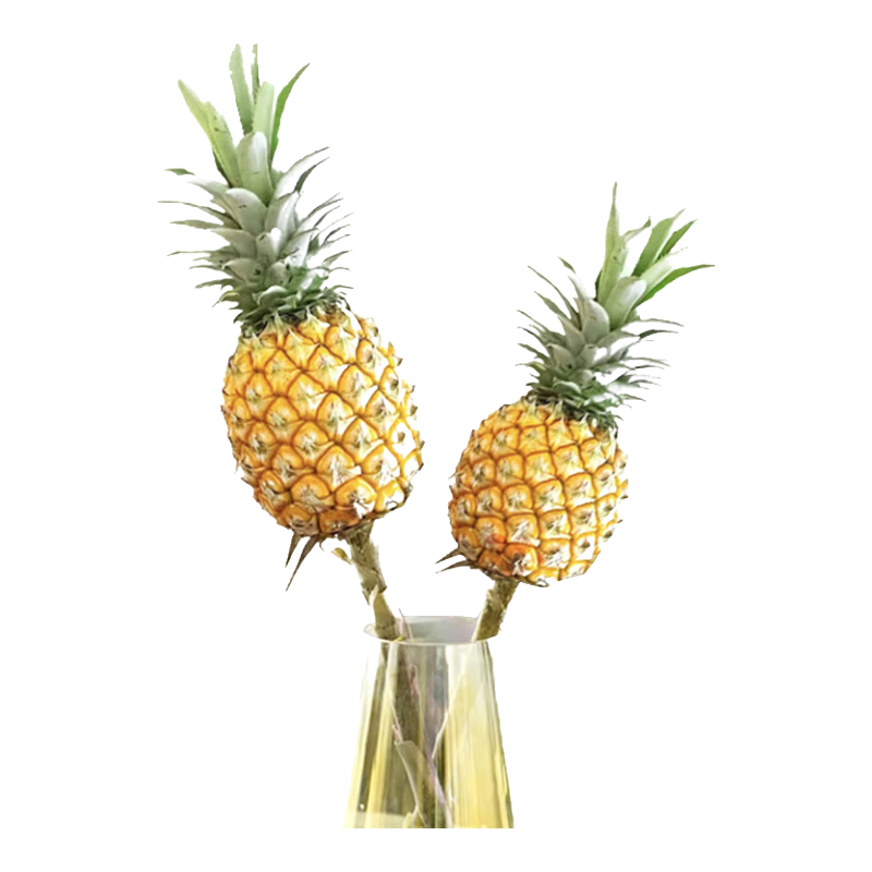 ���������ϰ��ɷ��澻��3�ﵥ��600g+����ˮ������ Դͷֱ�� 39.9Ԫ