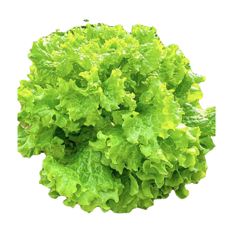 �������������߲������ļ���������̨ͥԺ������˲��˼������� ������������1��Լ1000��