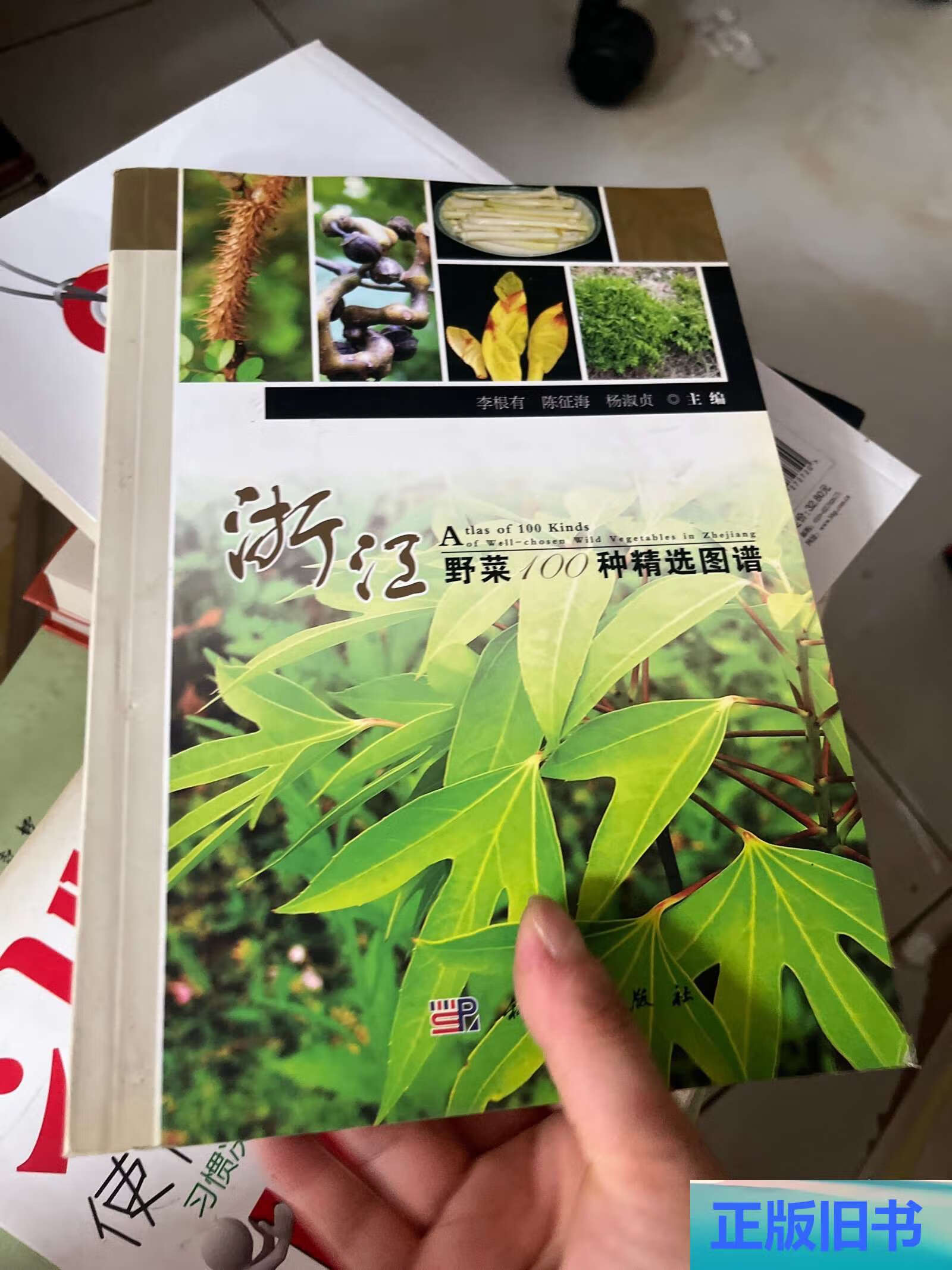 浙江野菜100种精选图谱 /李根有 科学