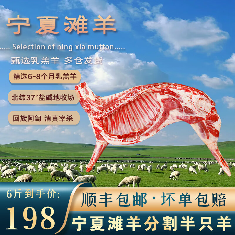 午羊 宁夏滩羊肉 生鲜分割半只羊排年货礼盒羊腿羊蝎子烧烤火锅食材  【宁夏滩羊】分割半只羊6斤