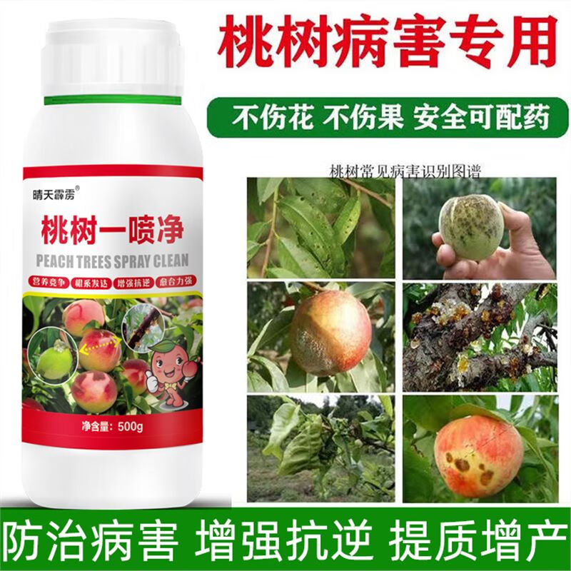 豫掌门桃树流胶病穿孔病一喷净桃树杀菌剂增强抗逆桃树病虫害 1瓶桃树