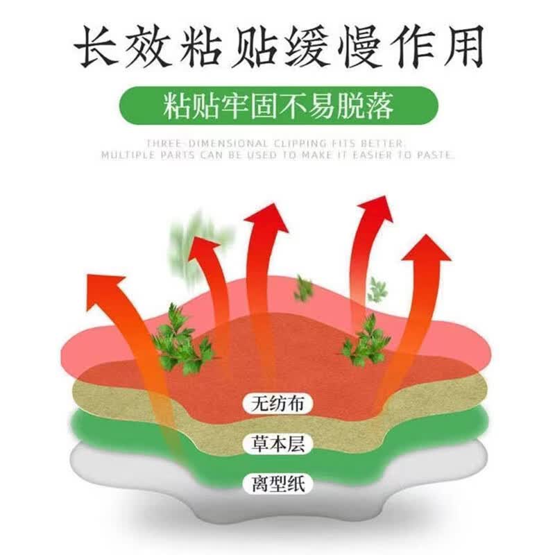 养品堂 家中常备艾草颈椎膝盖腰椎温灸贴贴 膝盖贴艾草贴经典黑贴 艾草颈椎贴(12贴/盒) 5盒超值装