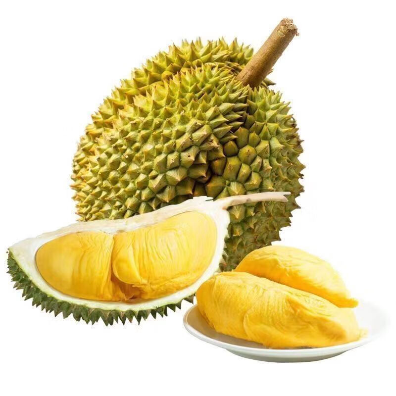 ���͡�˳�᡿���ڽ�����������̩�����ڴ��Ǵ����Ŵ���� ��������(��3��) ����4-5��(1����) 128Ԫ