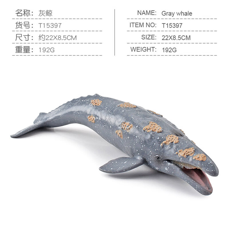 世界模型玩具灰鲸鱼宽咽鳗中华鲟比目鱼水生物海底动物 t15397 灰鲸
