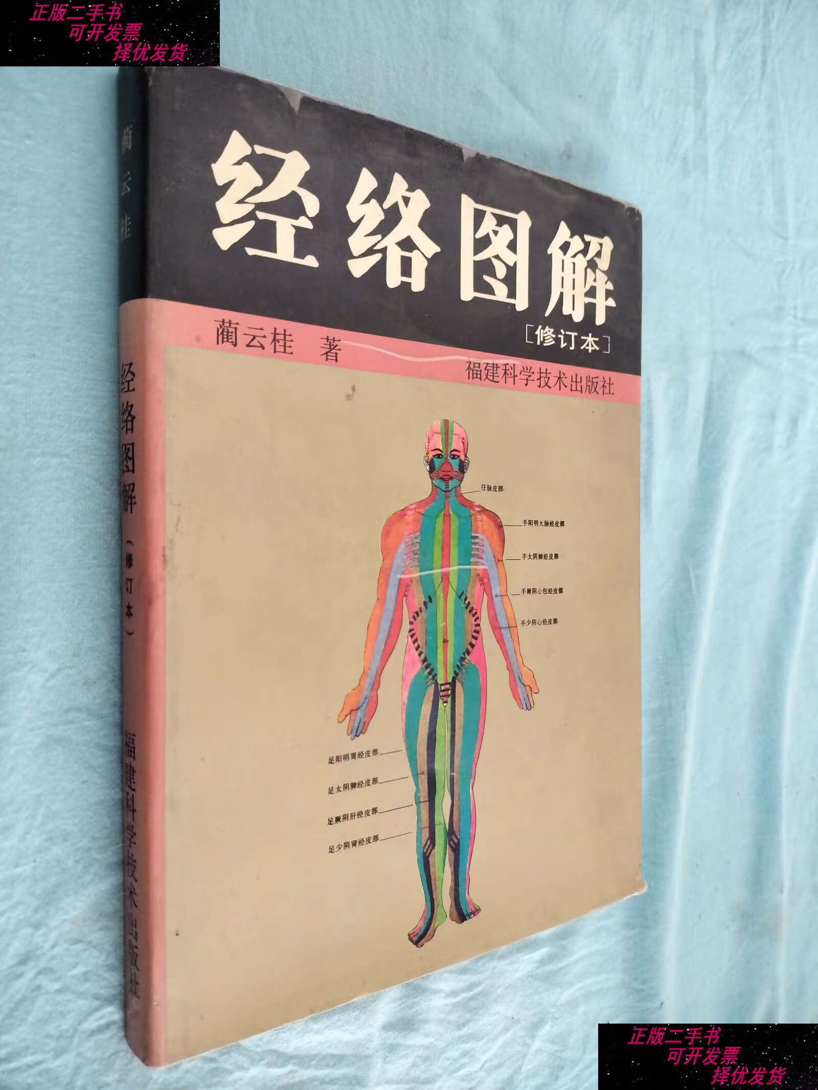 【二手书9成新】经络图解(修订本) /蔺云桂 福建科学技术