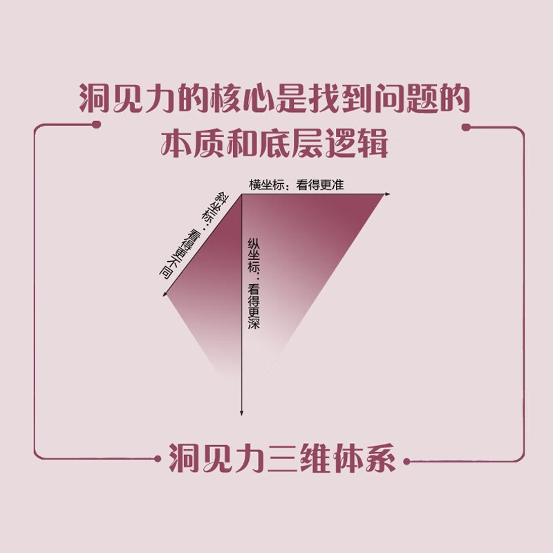 洞见力：比别人看得更准、做得更好（人邮普华出品）详情图