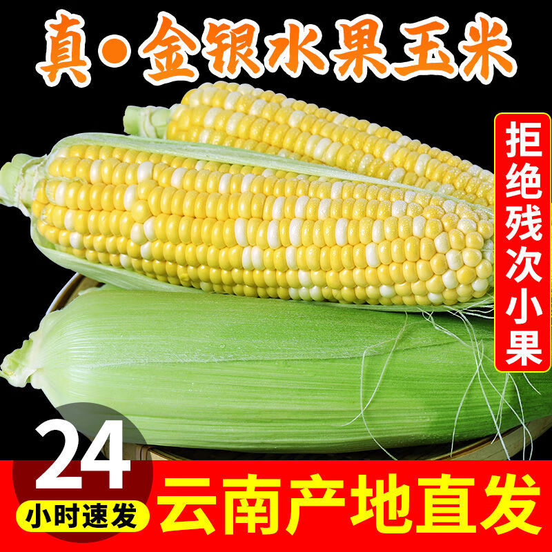 中鮮生云南金銀水果玉米9斤新鮮生吃甜玉米棒子苞谷米現摘糯蔬菜1 3斤