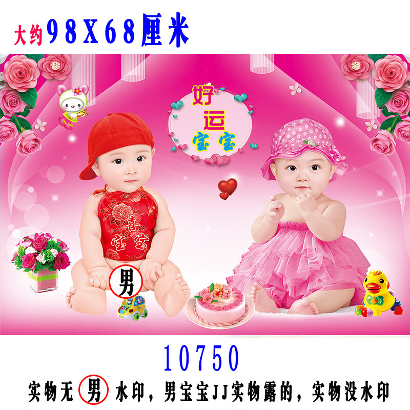 霜魄2024新款龙凤宝宝海报照片墙贴画报漂亮可爱男婴儿画双胞胎教早教