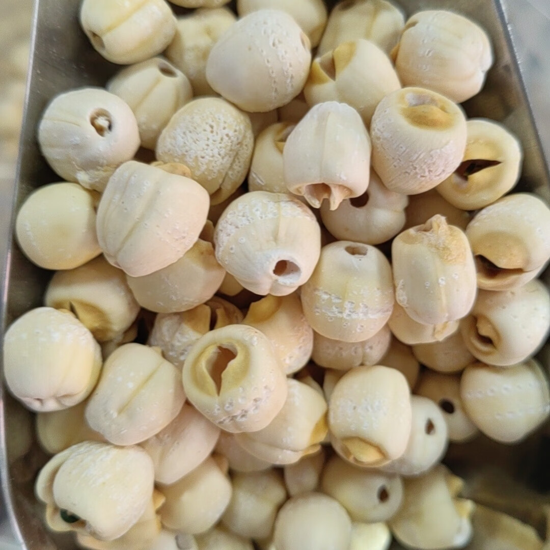建宁莲子干货农家自产无硫熏去芯莲子干果百合莲子 农家白莲250g