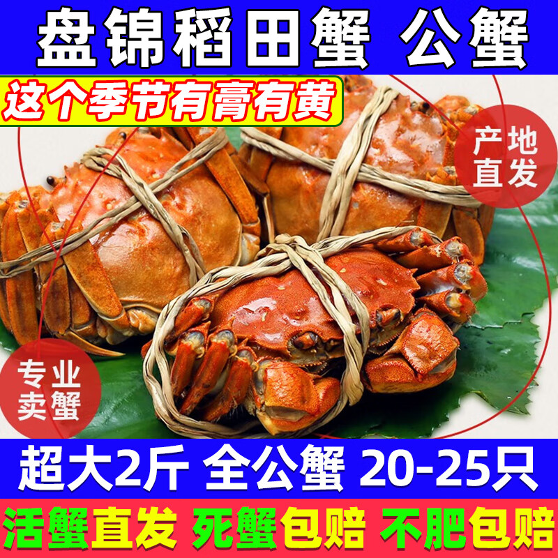 ���ڲ���������з������з �̽���з�ʻ��з��բз�����з�зȥ������ ȫ��з0.8-1.1����2�20-25ֻ