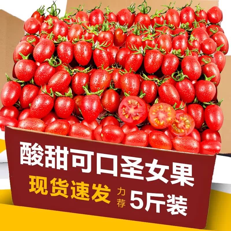 味果生新鲜圣女果小番茄当季新鲜水果千禧小番茄圣女果生吃小番茄 3斤 精选装