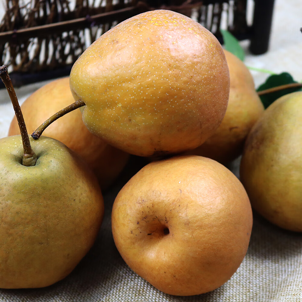 鲜姿 辽宁特产金翠香梨新鲜翠香梨水果当季新鲜水果生鲜 净重4.5斤 (单果75-80mm)