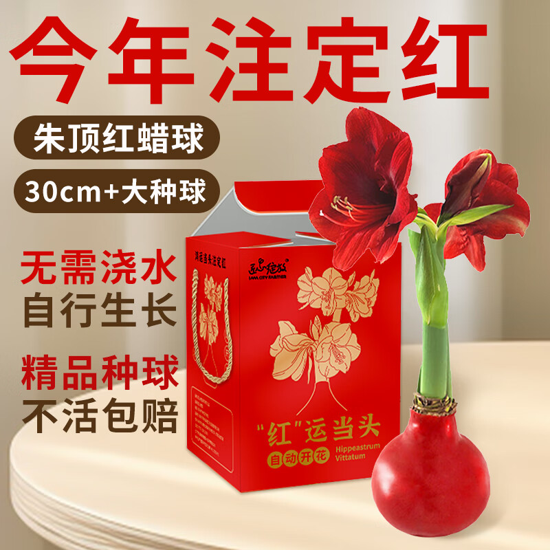 京东新品首发 2024-01-28 - 第6张  | 最新购物优惠券