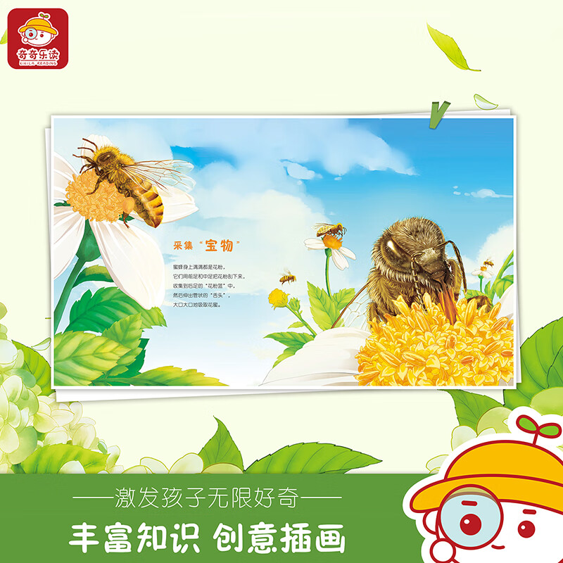 奇奇的虫虫屋第二辑正版亲子共读图书昆虫绘本3-6-9岁儿童生日礼物科普书籍蜜蜂蜈蚣蟋蟀蝉标本小孩启蒙亲近大自然科普套装广西美术出版社出版 奇奇的虫虫屋（第二辑）套装--蜜蜂、蜈蚣、蟋蟀、蝉