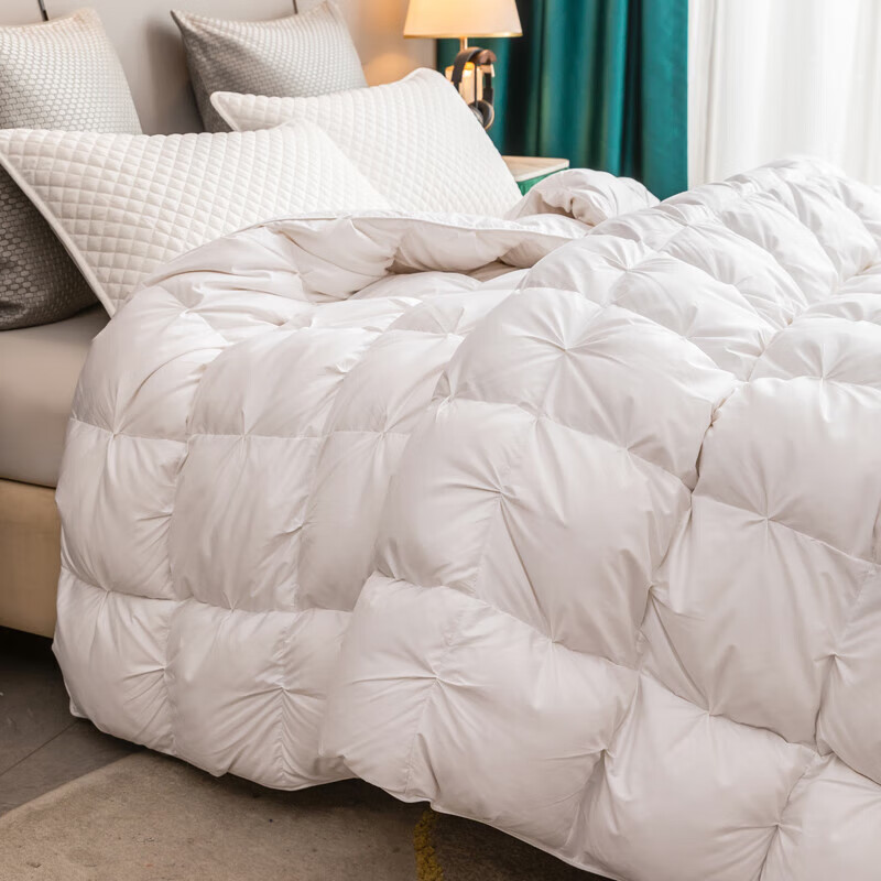 水星系列家纺100%羽绒被95白鹅绒被子静音被芯春秋季被单双人加厚保暖冬被学生 静音全棉羽绒被白色扭花款 200X230特厚冬被(填充2000克鹅绒)