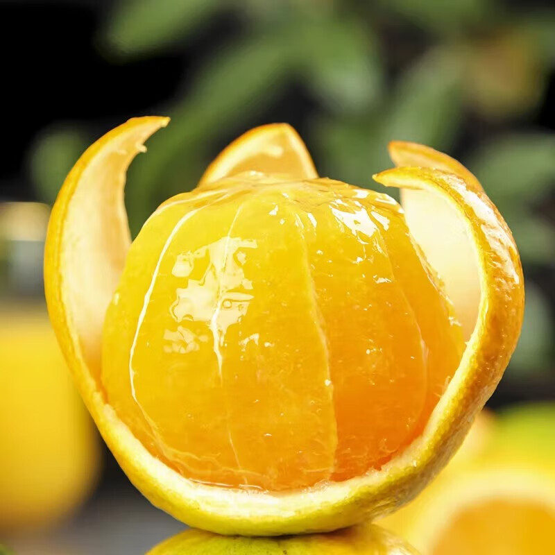 杨家姑娘 正宗江西赣南脐橙 高山手剥橙应季新鲜橙子水果整箱批发礼盒 果径70-80mm【80%的人选择】 5斤试吃装【净重4.5-5斤】