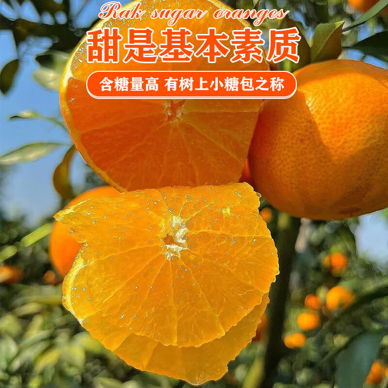 绿熊庄园赣南脐橙正宗江西赣州直发甜橙子新鲜水果冻橙应季特产手剥橙鲜橙 【商超品质】净重4.5斤75mm-90mm