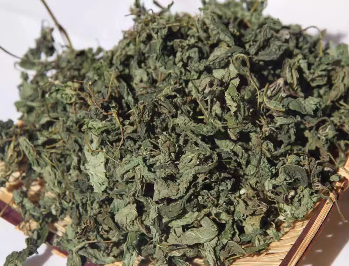 隽颜堂特产延边朝鲜族野苏子叶脊骨汤牛肉酱炖鱼调料野紫苏叶 野苏子