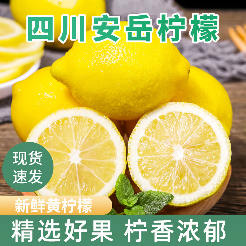 时鲜汇四川安岳黄柠檬 奶茶店批发香水柠檬独立包装 柠檬带箱5斤中果