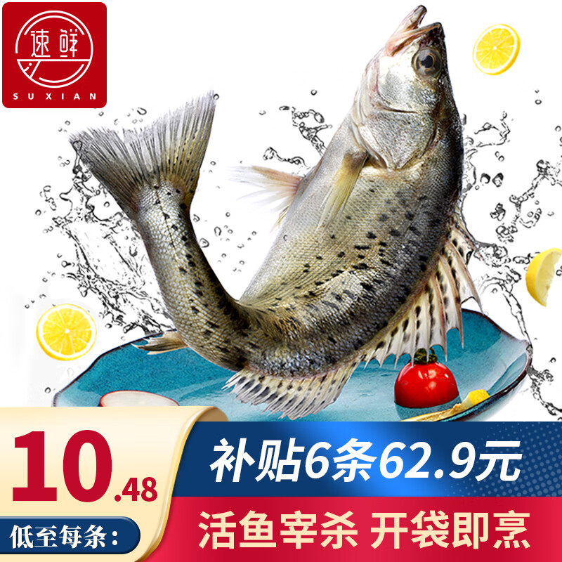 速鲜（SuXian）新鲜活冻三去开背开腹白蕉海鲈鱼生鲜海鱼海鲜水产去鳃去鳞去内脏 开肚海鲈鱼200-250g*6条