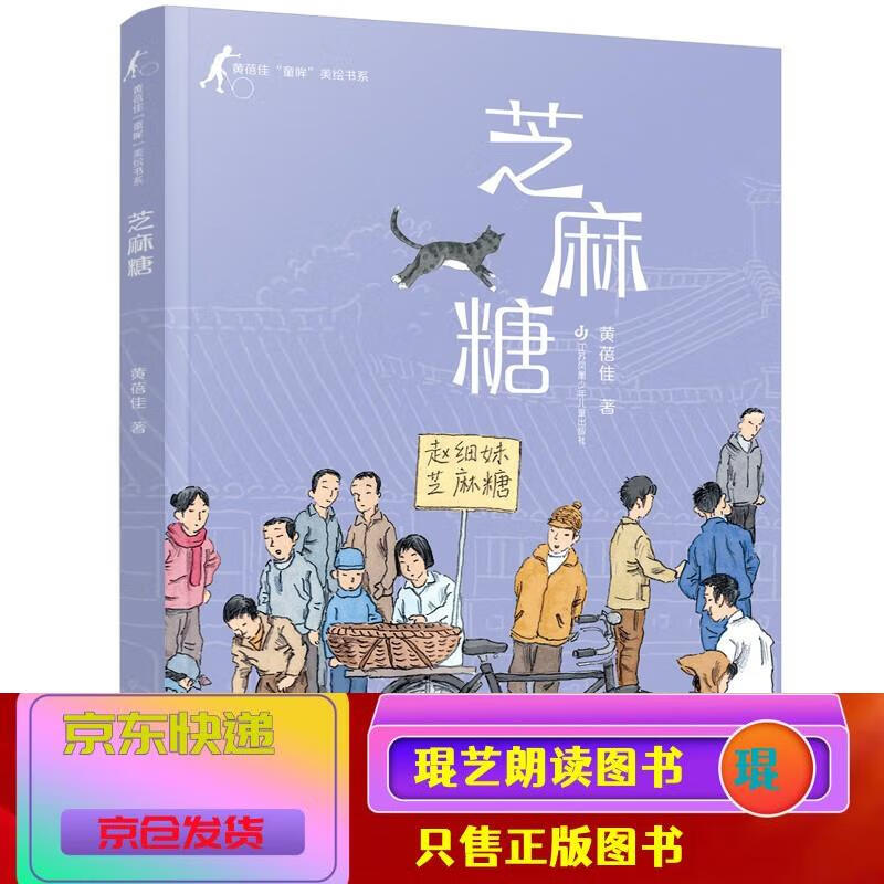 童眸美绘书系/黄蓓佳代表作童眸的精品美绘系列大开本全彩印刷 芝麻糖