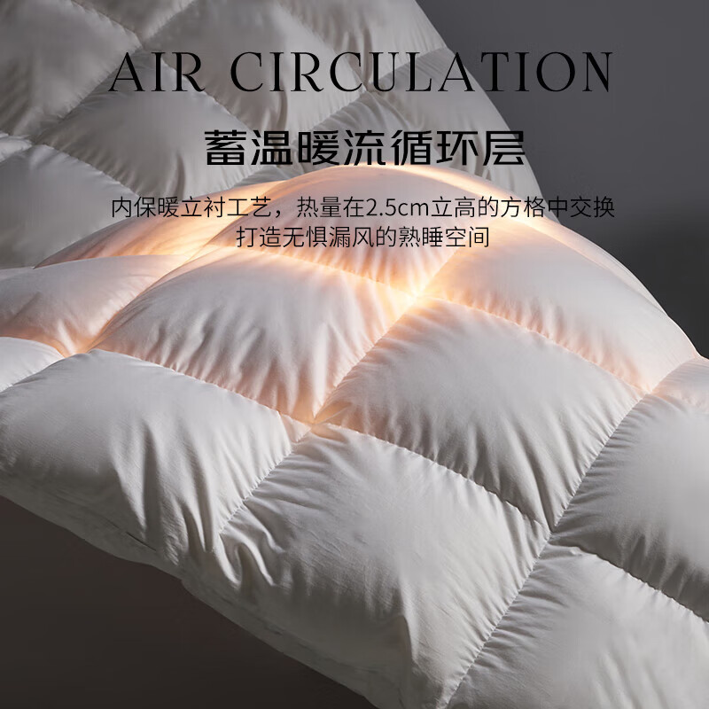 浪莎（LangSha）A类羽丝绒被95鹅毛绒被冬被加厚保暖鸭丝绒被6-10斤秋冬被子被芯 白色【抗寒保暖 混带95白鹅绒】 200*230cm8斤【室温0-5℃】